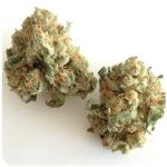 Шишки "White Widow" (Белая вдова) Гидропоника - Бошка VHQ в Родниках Шишки "White Widow" (Белая вдова) Гидропоника - Бошка VHQ в Родниках