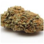 Шишки AK47 (Гидропоника, Бошка) VHQ в Родниках Шишки AK47 (Гидропоника, Бошка) VHQ в Родниках